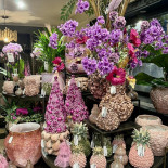 Flora Creaverdi À l'intérieur