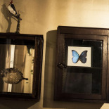 Café Wunderkammer Boisson