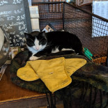 Oud Arsenaal Boisson