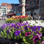 De Grondeling Geraardsbergen Extérieur