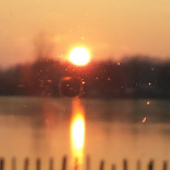 Vijverzicht Getränk