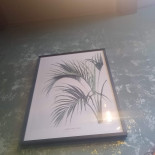 Eetcafé Coster 52 Haarlem Carta