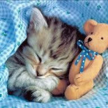 De Veehandel Speisekarte