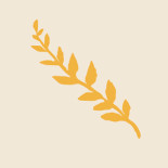 Pizza Meet Point Getränk