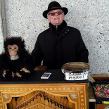 Kaap Oostende Bebida