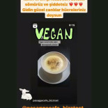 Ora Vegan Carta