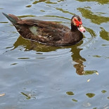 Le Bois Joli Extérieur