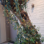 Arcobaleno Oudenaarde Boisson