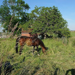 Eet- En Biercafé Bij De Witten Extérieur