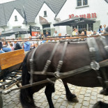Café Feestzaal De Witte Hoeve Exterior