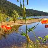 Honest Brussels Außen