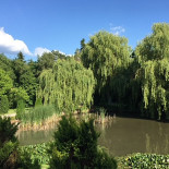 Hippocampus Extérieur