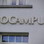 Hippocampus Extérieur