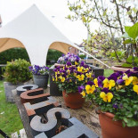 Thooftgerecht Exterior