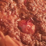 Snackbar Romy Nourriture