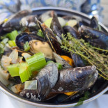 Kommilfoo De Panne Boisson