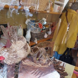 Pepe Salerno Boisson