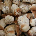 Au P'tit Batia Essen