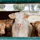 Brasserie Monne Getränk