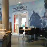 Trattoria Waterloo Dentro