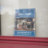 Dogs Drinks Speisekarte