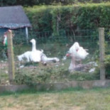 De Millem À l'intérieur