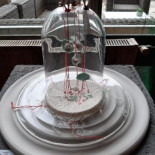 Boomhiemke B.v. Hollum Comida