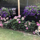 Rustpunt De Feithenhof Extérieur