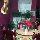 Mini Thai Nourriture