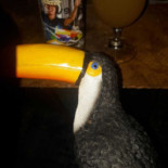 't Elpee Café Nourriture