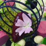 Lafarques Extérieur