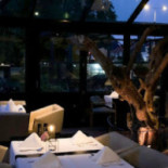 Oliva À l'intérieur