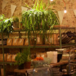 Native Haarlem Koffie Nourriture