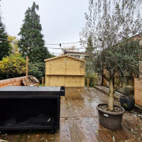 Sensi Concepts Carta