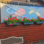 Frituur Michel Extérieur