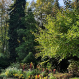 Café Au Calvaire Exterior