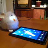 Eethuis T Kleinbegin À l'intérieur