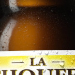 Dine Lounge Vayamundo À l'intérieur