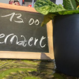 Marengo À l'intérieur