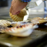 Caterserv Nourriture