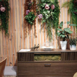 In 't Grün Nourriture