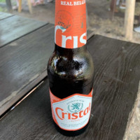 In Den Dolphin Comida