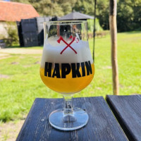 In Den Dolphin Comida