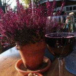 Boshuys Hermitage Nourriture