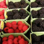 Stadscafe Blij Comida