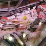 Martin Visch Fishshop food