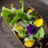 Humus X Hortense Comida