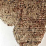 Borboleta Nourriture