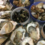 Van Het Wad Nourriture