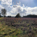 Uitspanning De Schaapskooi À l'intérieur